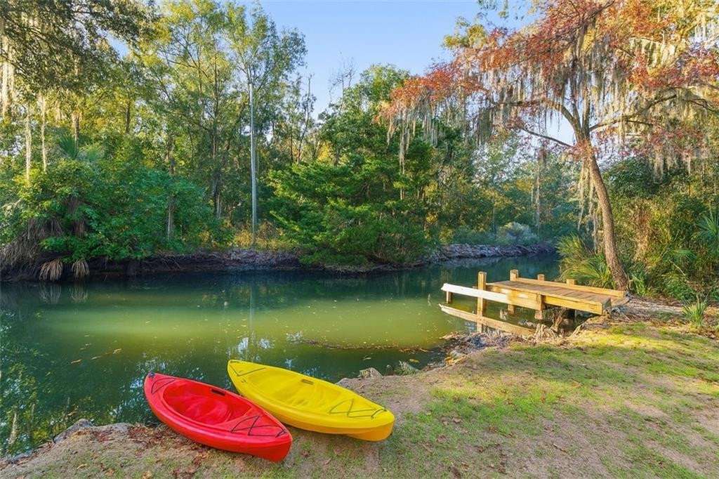 230 Yacht Road Brunswick, GA 31525 - Photo 2 of 83