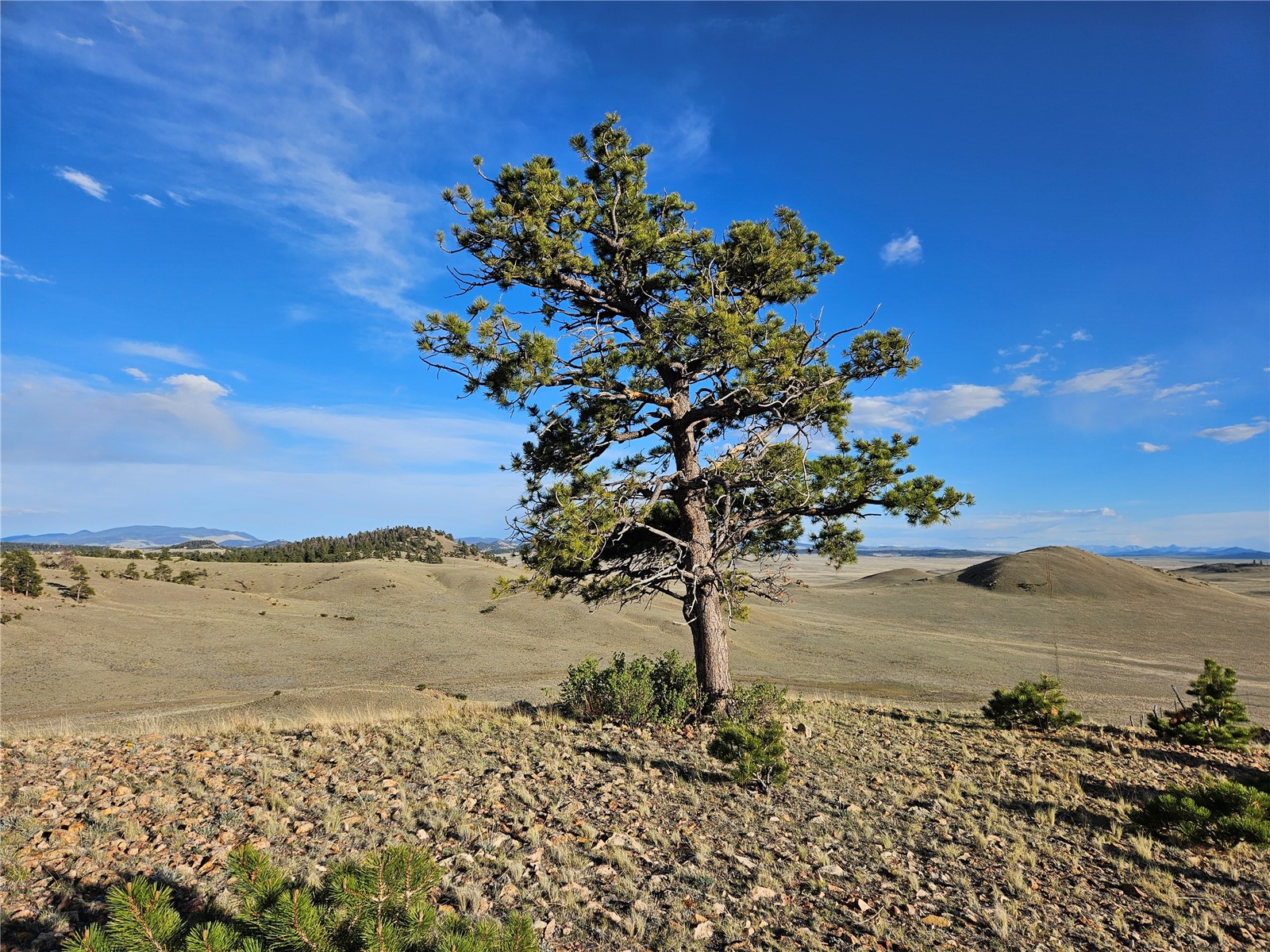 Pcs#24142 Antero Road Hartsel, CO 80449 - Photo 3 of 50