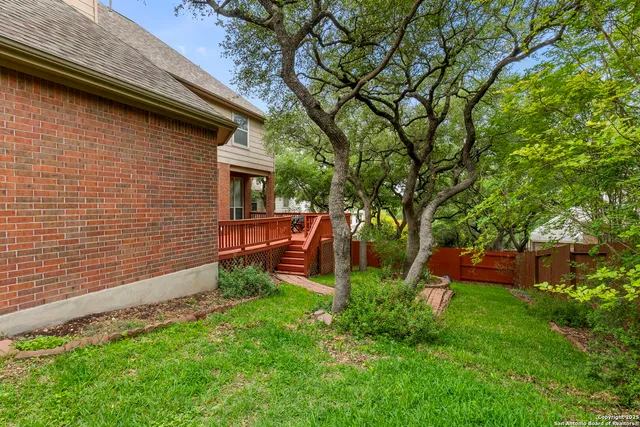 a view of backyard with plants and large tree