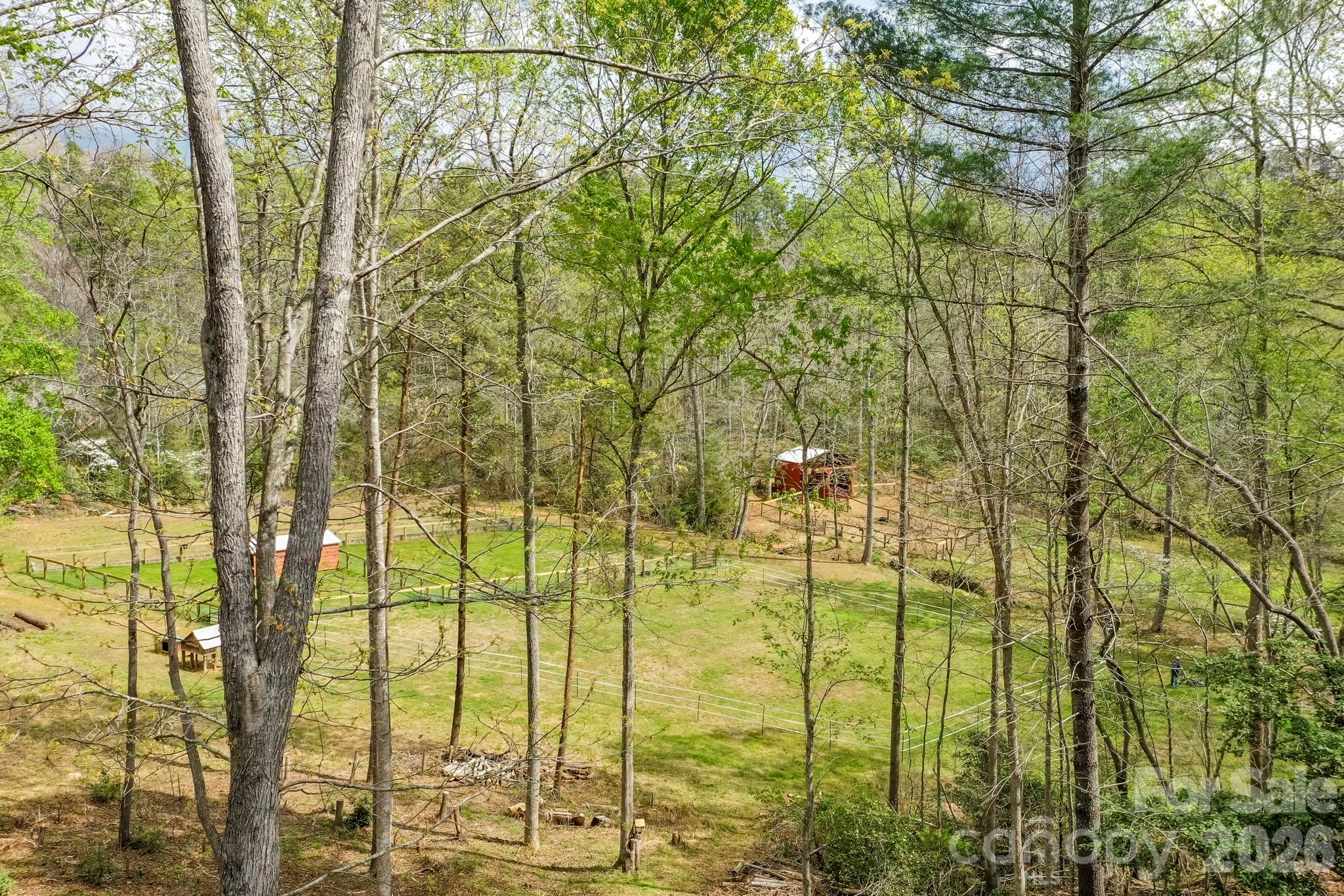 282 North Chase Lane Rutherfordton, NC 28139 - Photo 25 of 26