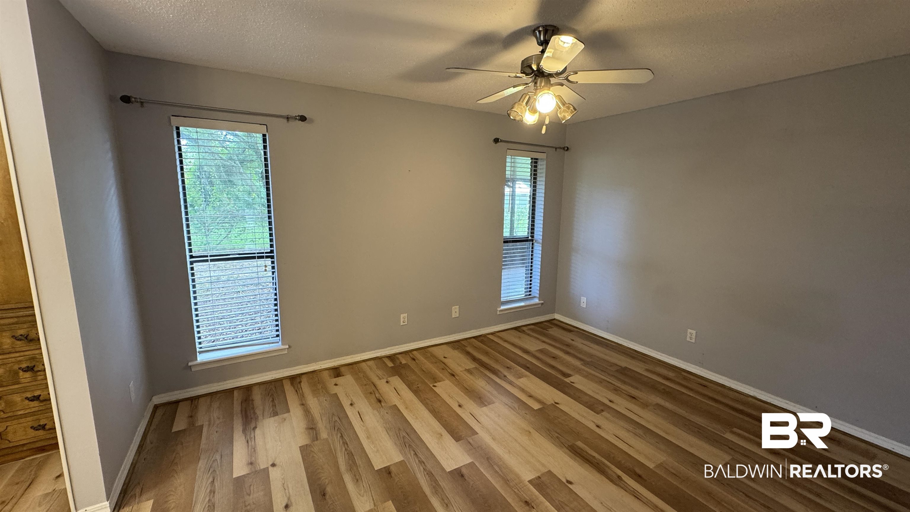33370 Highway 98 Lillian, AL 36549 - Photo 29 of 58 Spacious room featuring wood-finish flooring, light grey walls, and two vertical windows