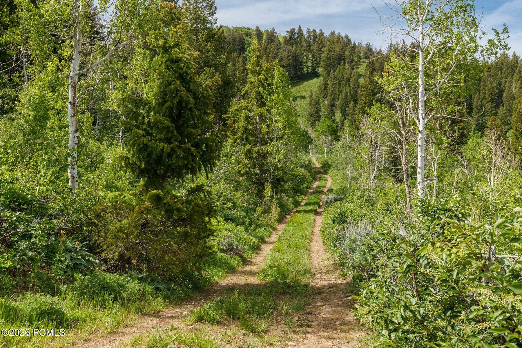 40 Sunridge Ranch Huntsville, UT 84317 - Photo 27 of 36 Gallery Image 27