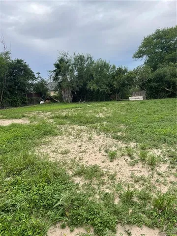 a view of a backyard with potted plants and large trees