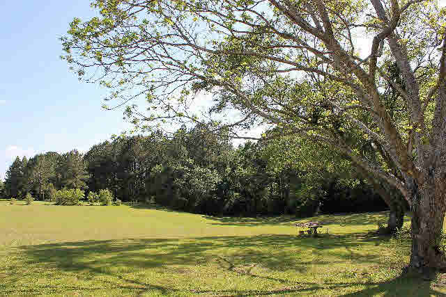 12836 Anna's Way Stapleton, AL 36578 - Photo 33 of 43 Back yard