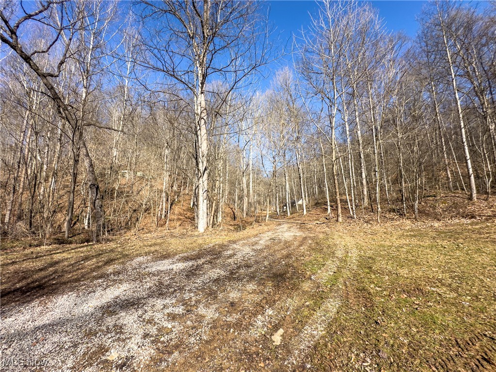 47562 Pratts Run Road Clarington, OH 43915 - Photo 20 of 49 View of local wilderness