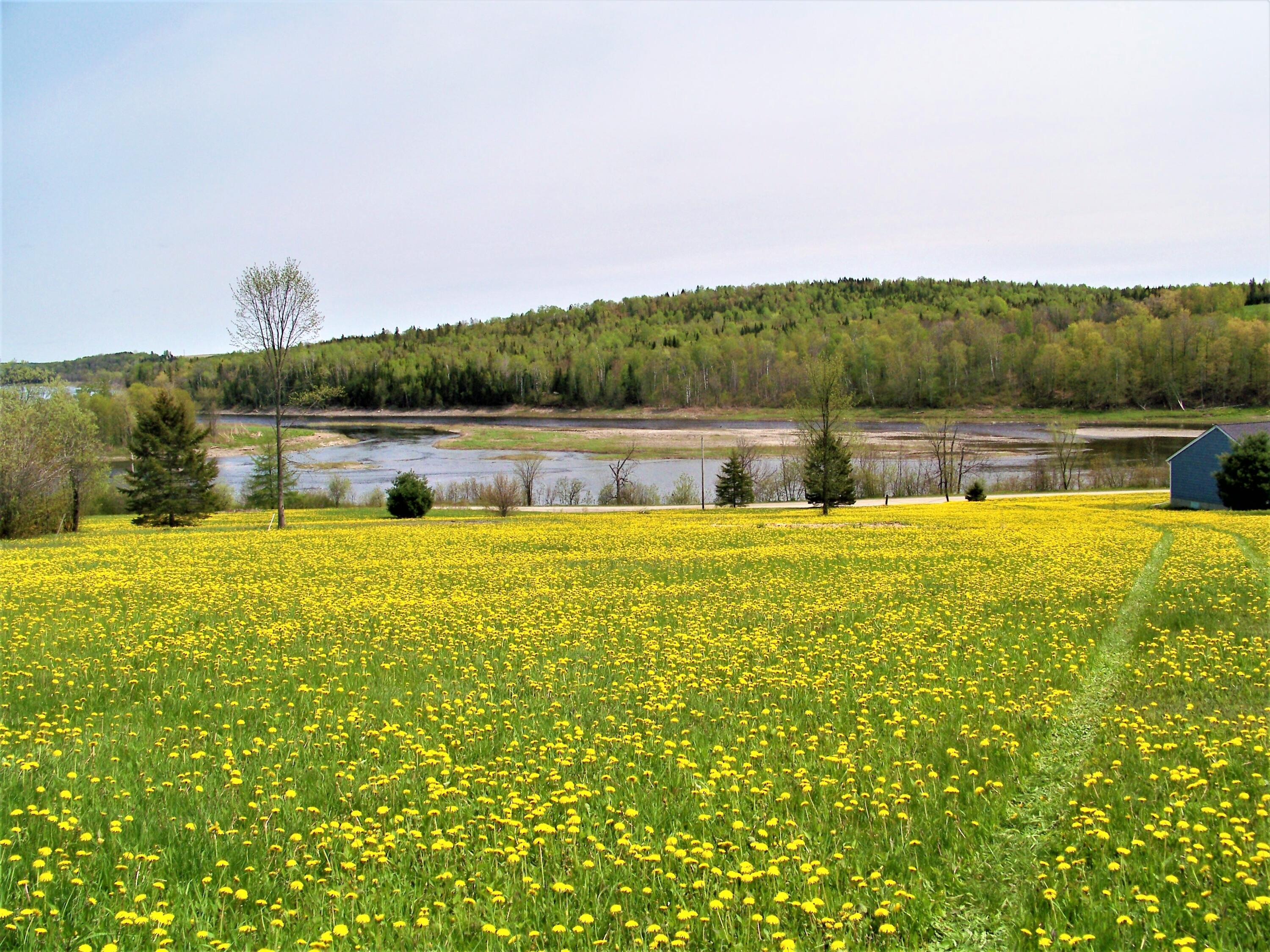 683 Gardner Creek Road Wade, ME 04786 - Photo 66 of 66 100_2586 (3)