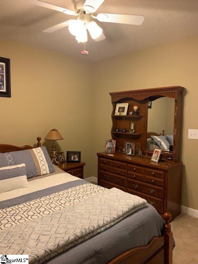3865 Camp Road Greer, SC 29651 - Photo 15 of 29