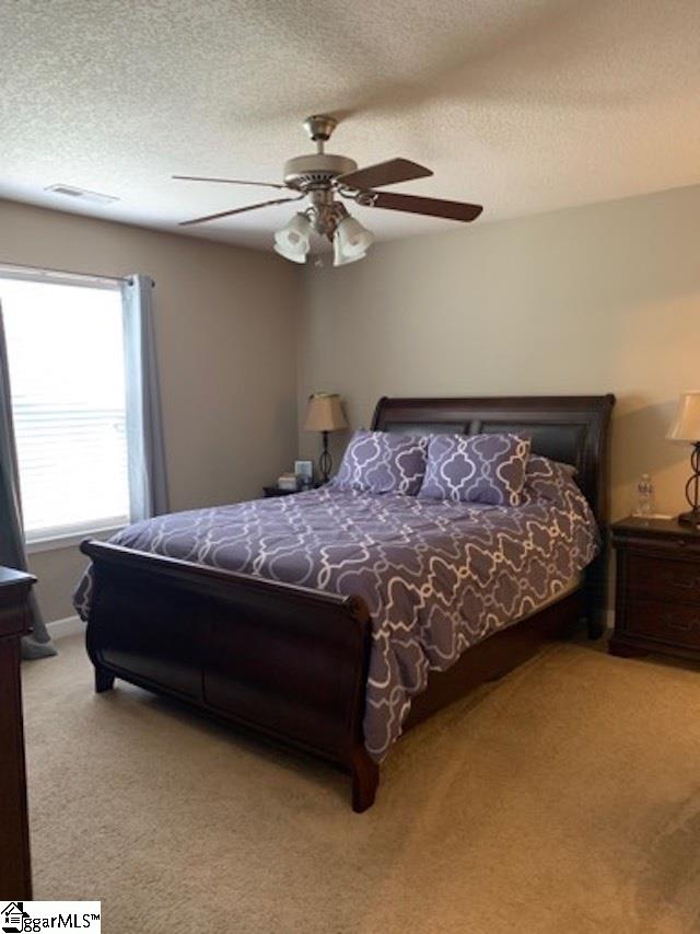 3865 Camp Road Greer, SC 29651 - Photo 18 of 29