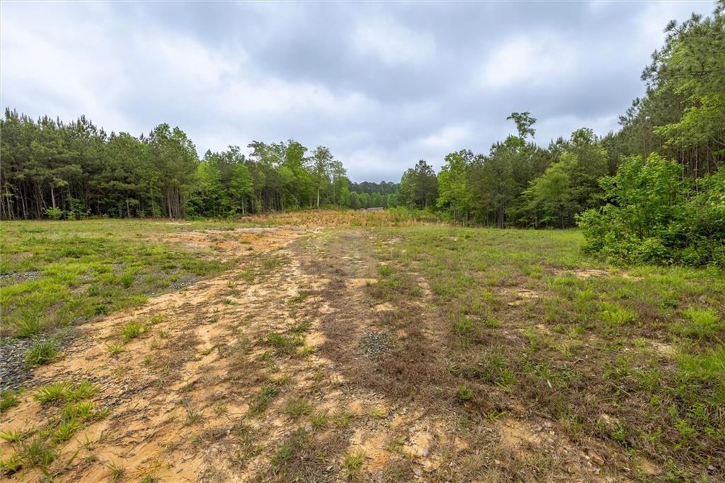 51 Paul Harris Road Dallas, GA 30157 - Photo 4 of 13 a view of outdoor space and yard