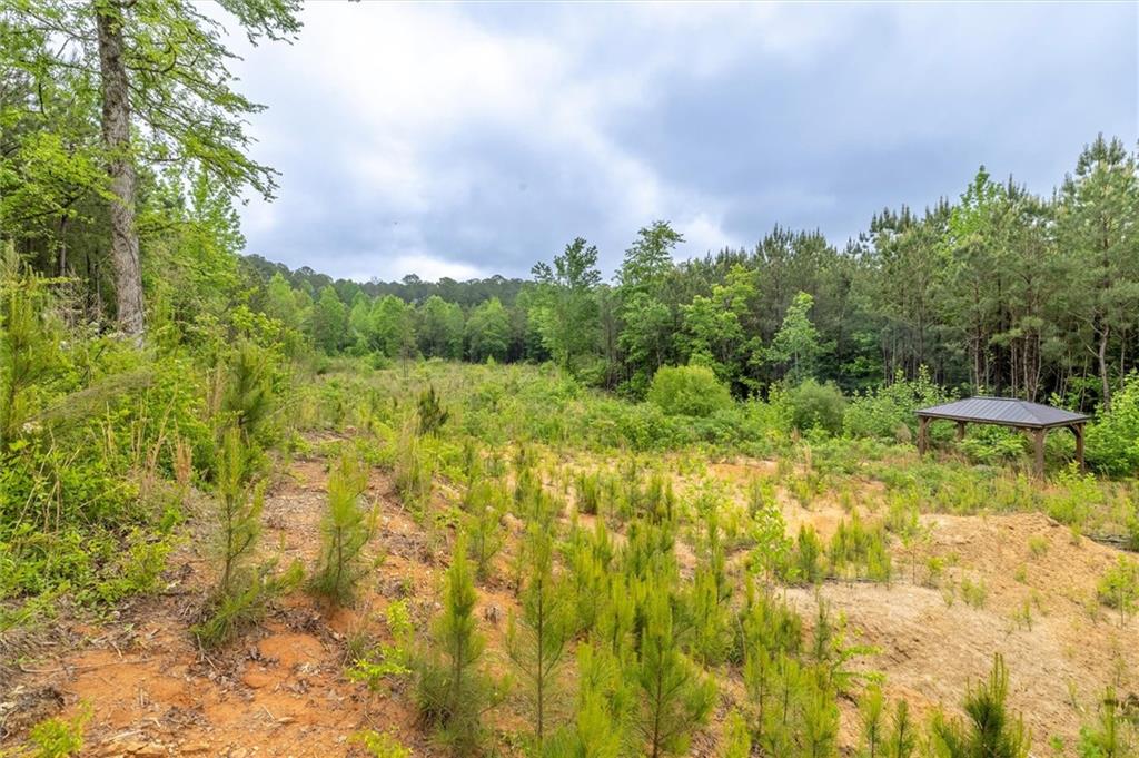 51 Paul Harris Road Dallas, GA 30157 - Photo 9 of 13 a view of a big yard with large trees
