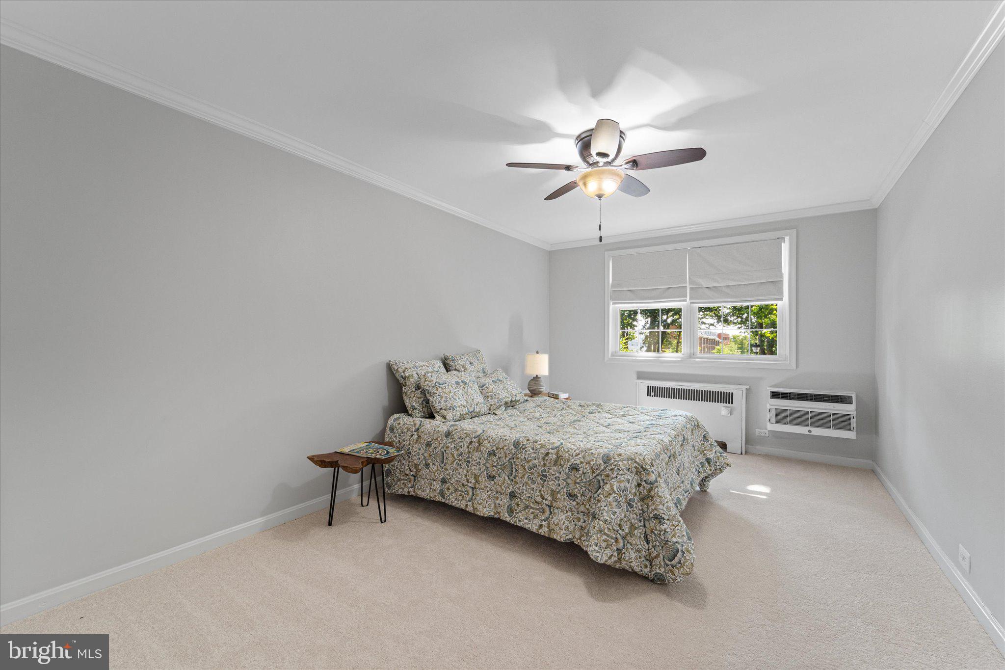 4319 2nd Road North, Unit 4 Arlington, VA 22203 - Photo 15 of 34 Primary bedroom with brand new carpet