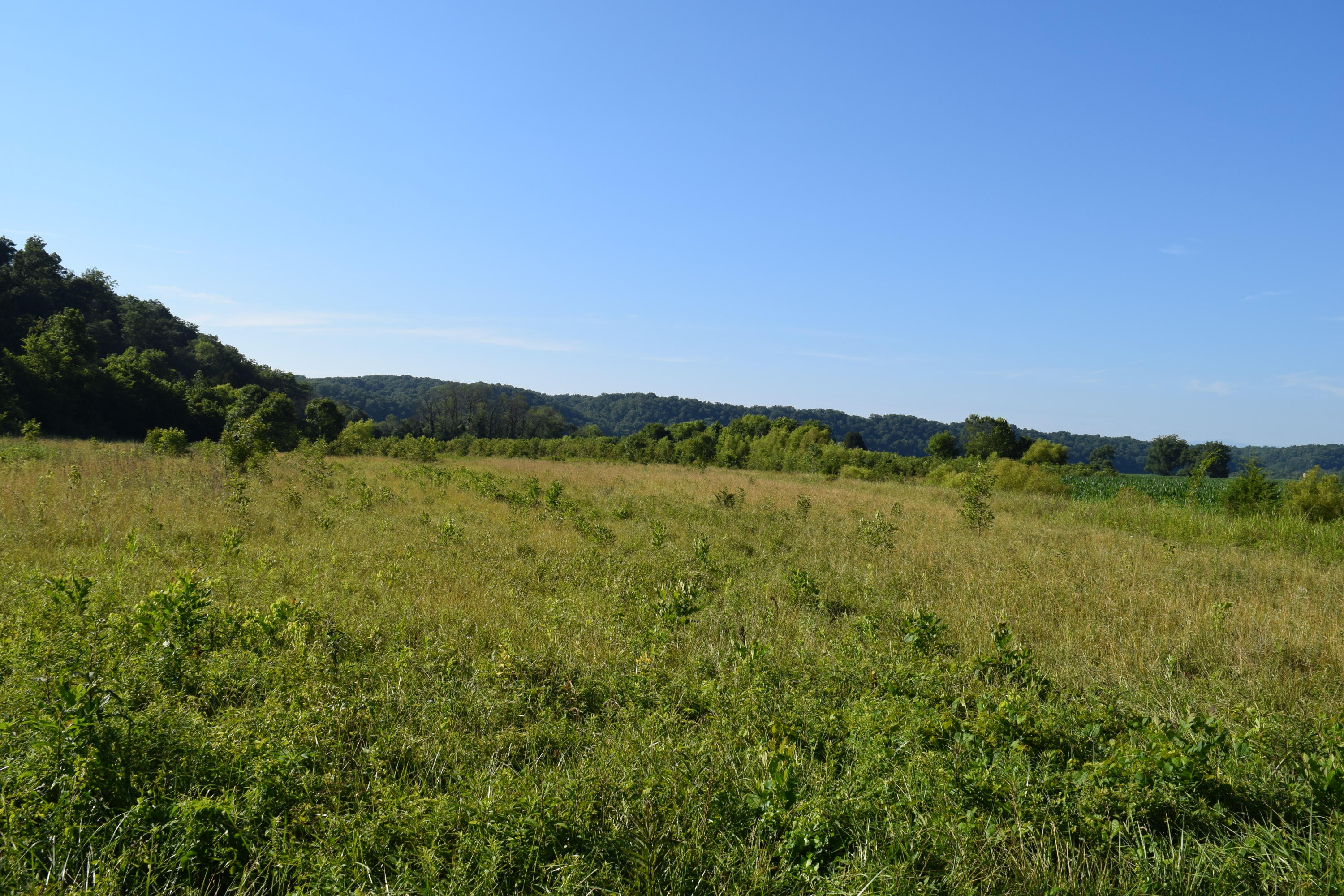 7.28-ac Shady Road Bybee, TN 37713 - Photo 1 of 12 DSC_0343-001