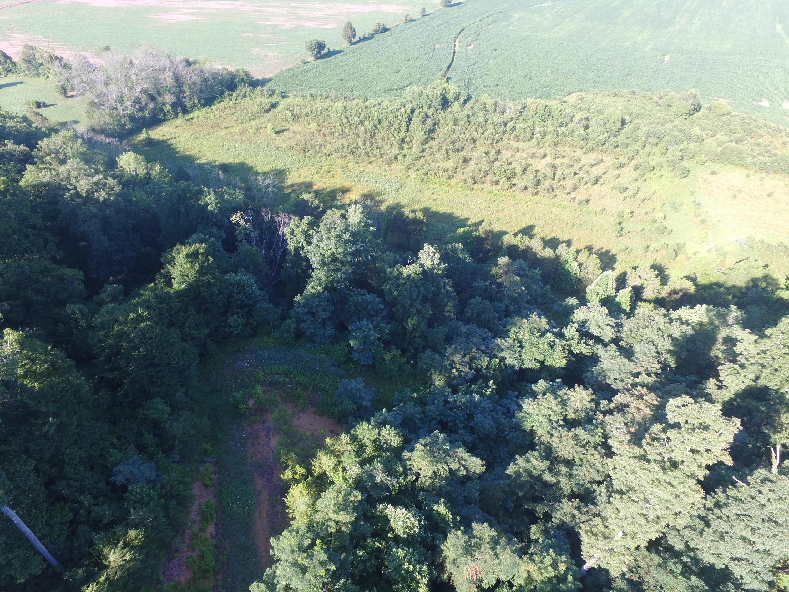 7.28-ac Shady Road Bybee, TN 37713 - Photo 2 of 12 DJI_0084
