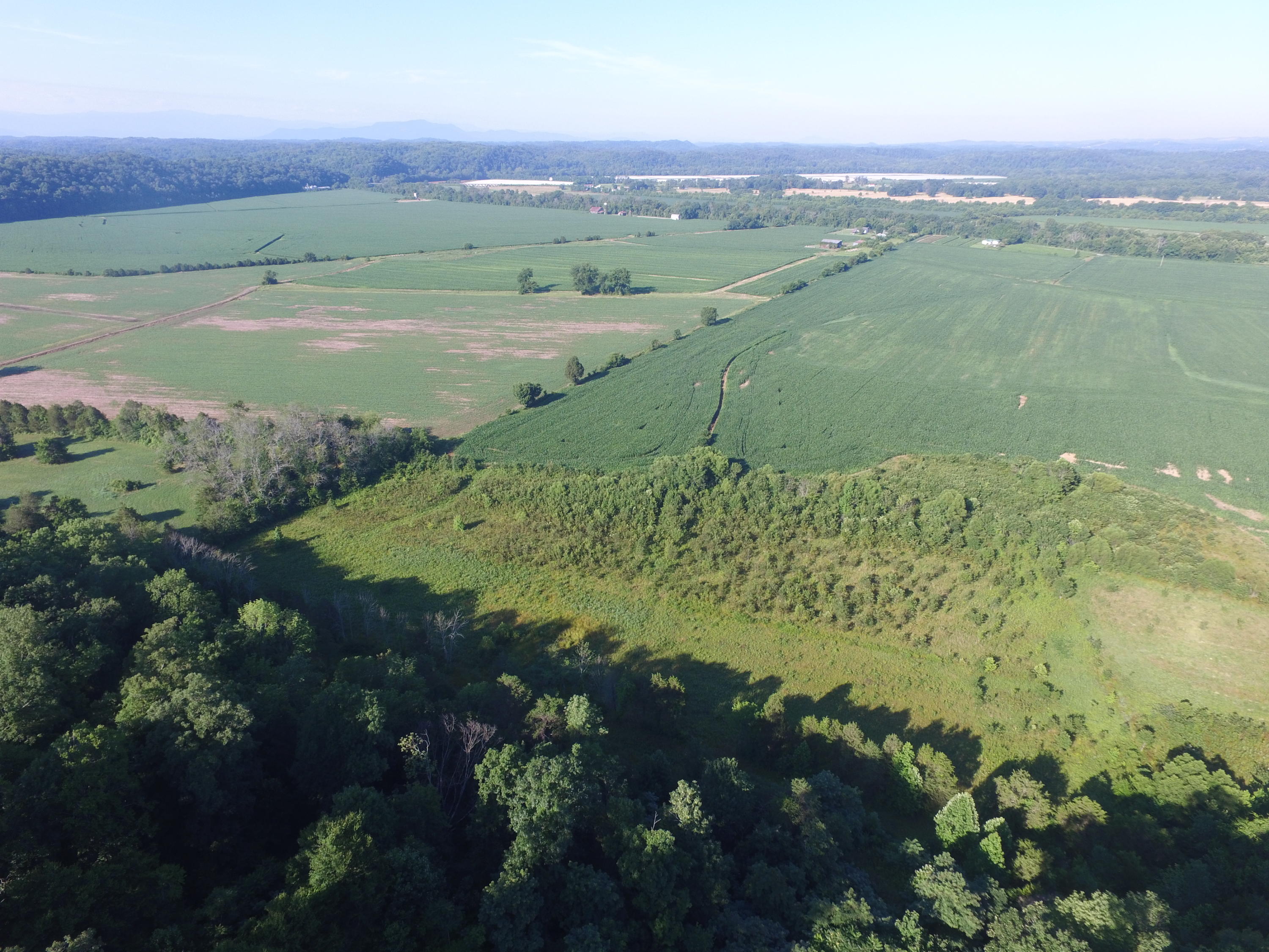 7.28-ac Shady Road Bybee, TN 37713 - Photo 3 of 12 DJI_0085