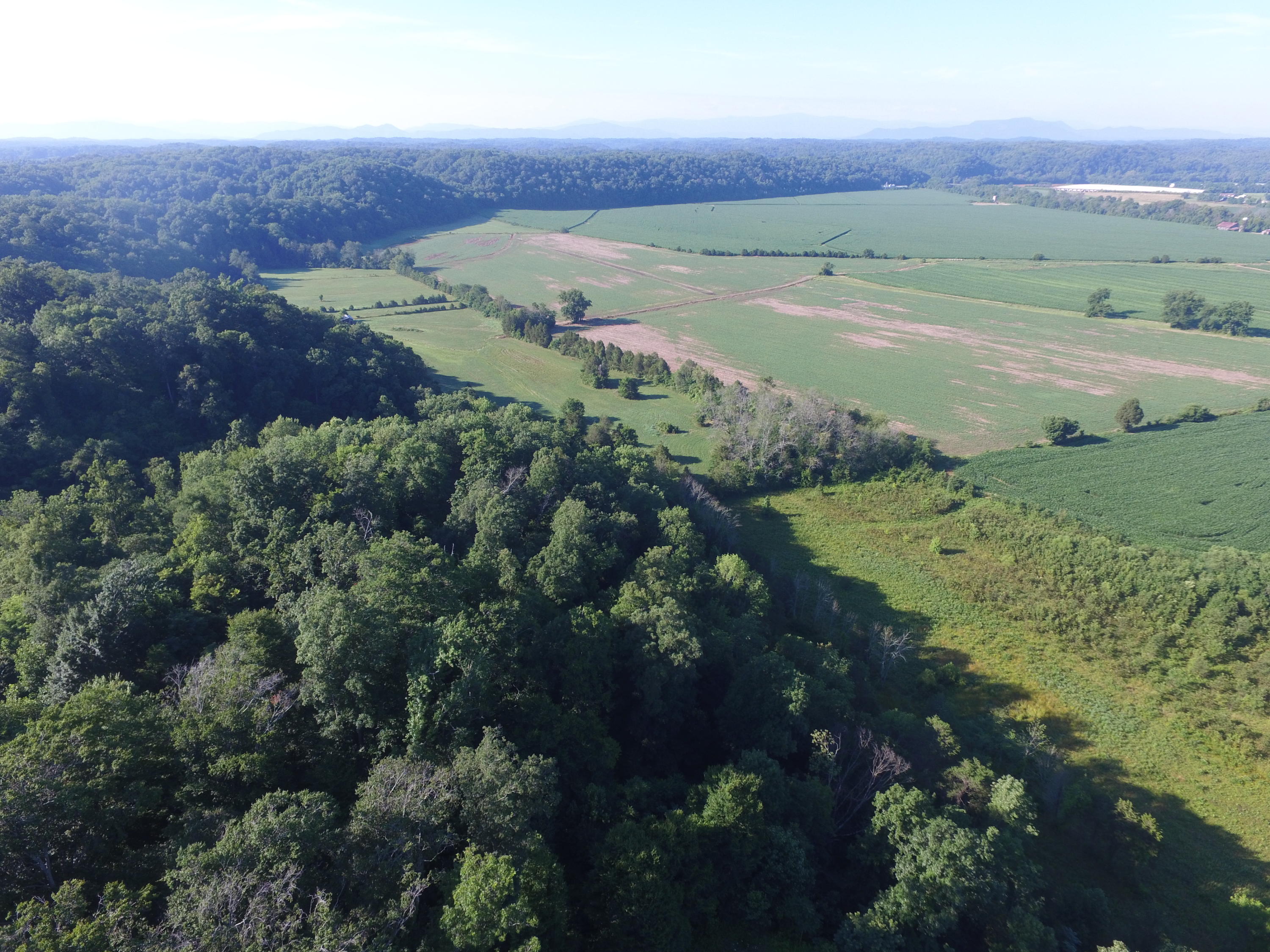 7.28-ac Shady Road Bybee, TN 37713 - Photo 4 of 12 DJI_0086