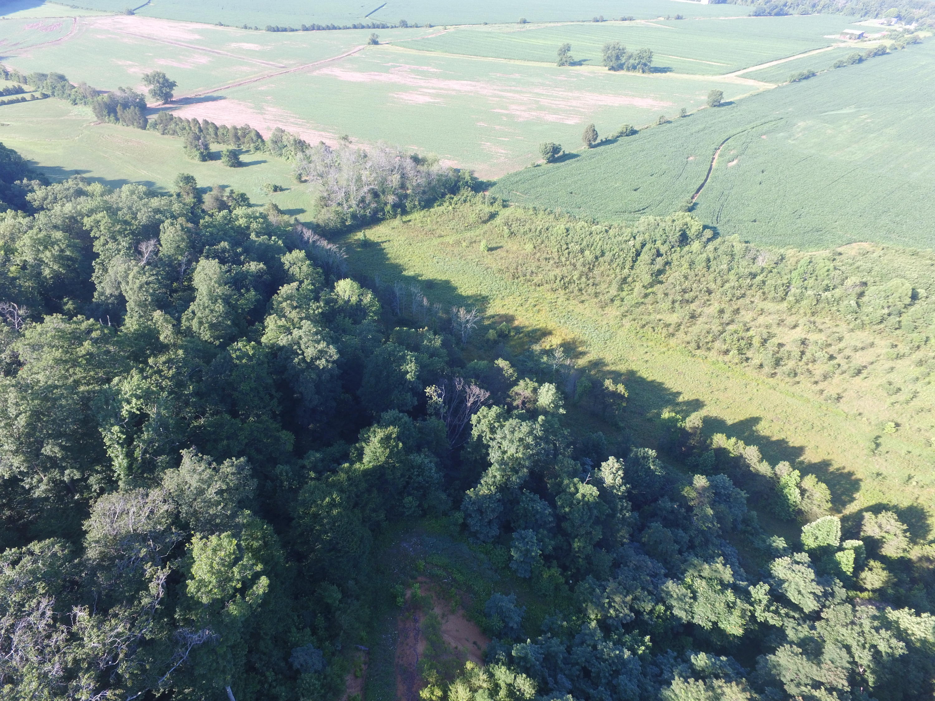 7.28-ac Shady Road Bybee, TN 37713 - Photo 5 of 12 DJI_0087