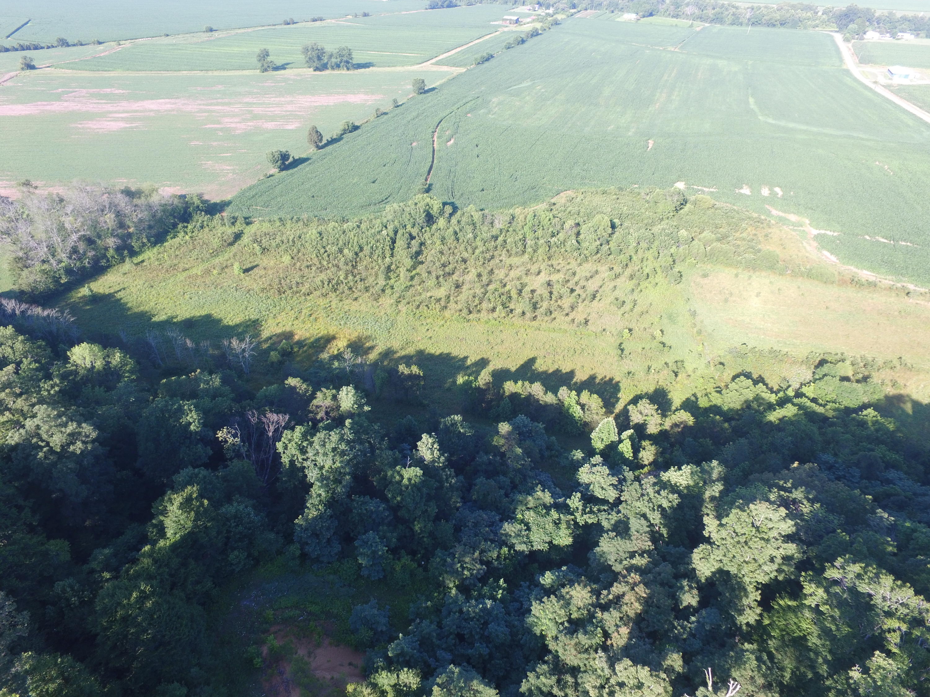 7.28-ac Shady Road Bybee, TN 37713 - Photo 6 of 12 DJI_0088