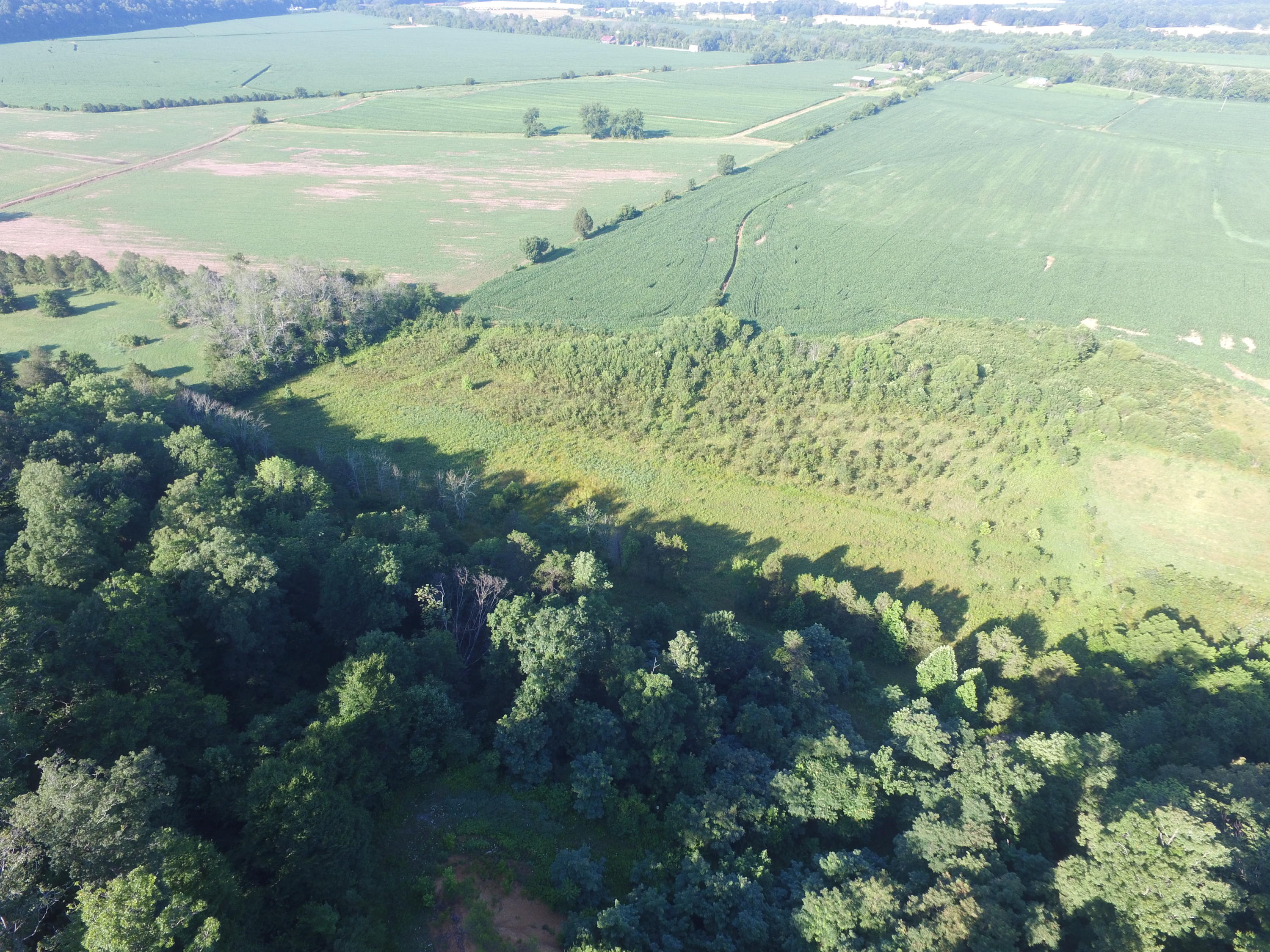 7.28-ac Shady Road Bybee, TN 37713 - Photo 7 of 12 DJI_0090