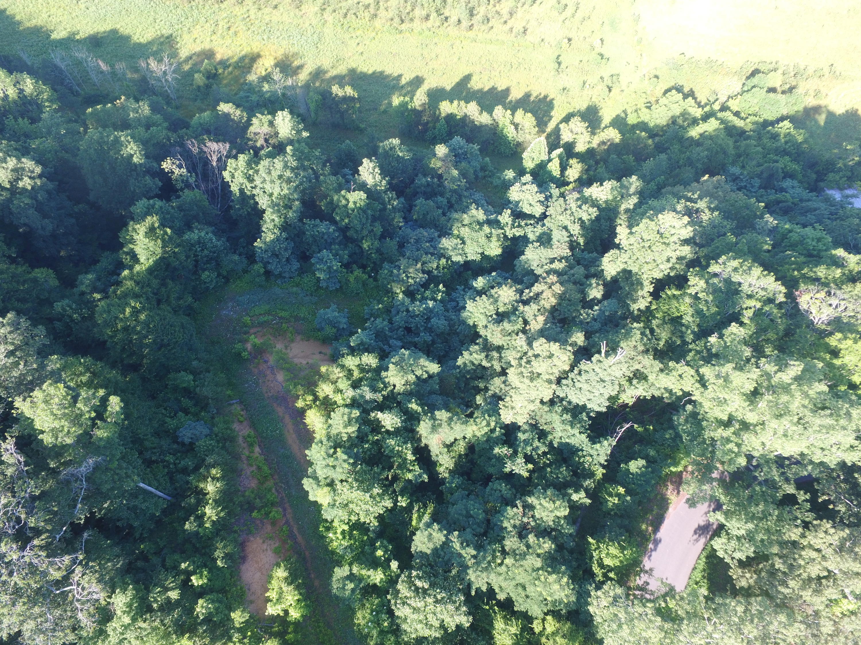 7.28-ac Shady Road Bybee, TN 37713 - Photo 8 of 12 DJI_0089