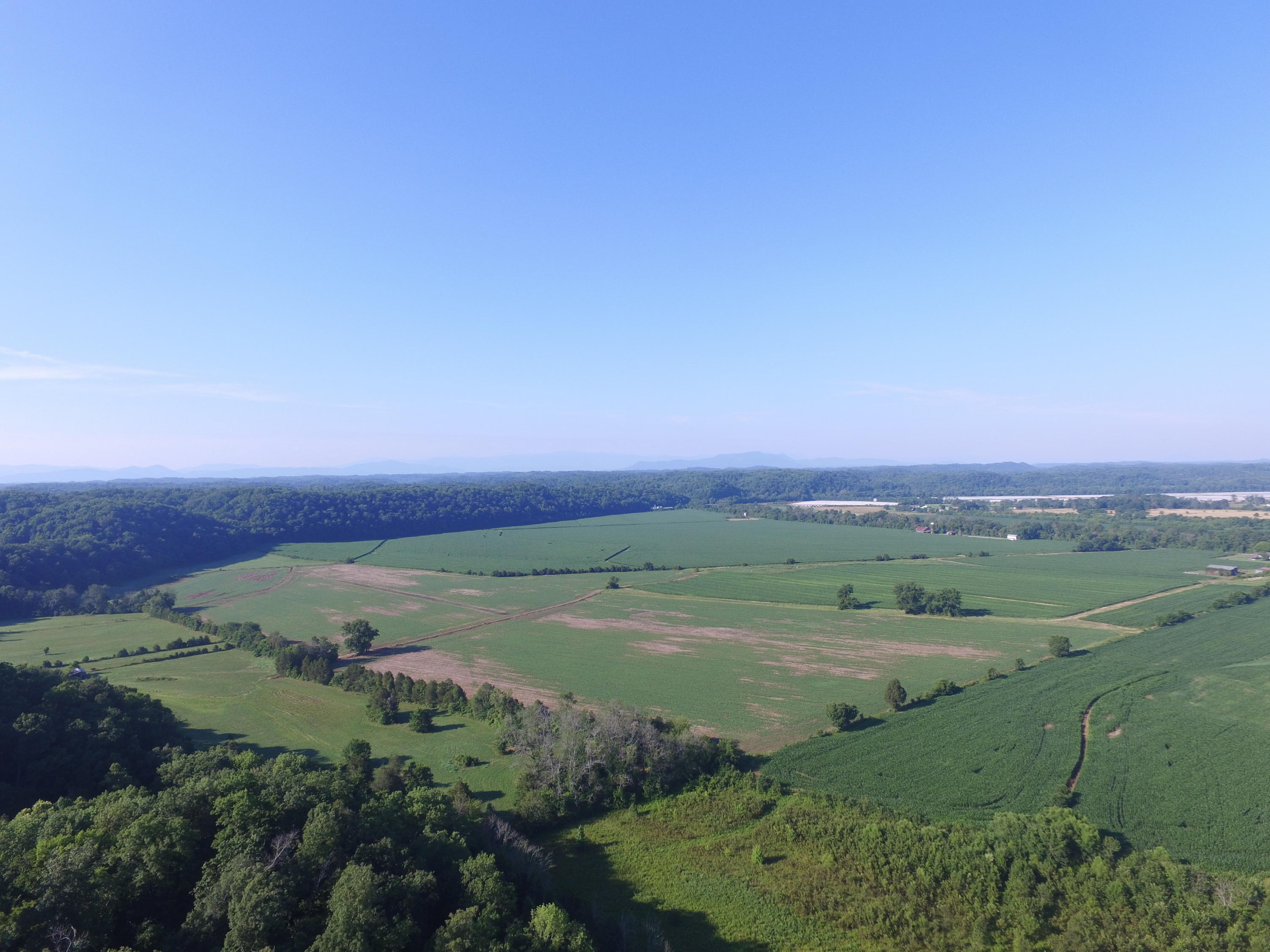 7.28-ac Shady Road Bybee, TN 37713 - Photo 10 of 12 DJI_0092