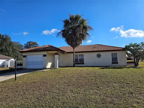 a house that has a tree in front of it