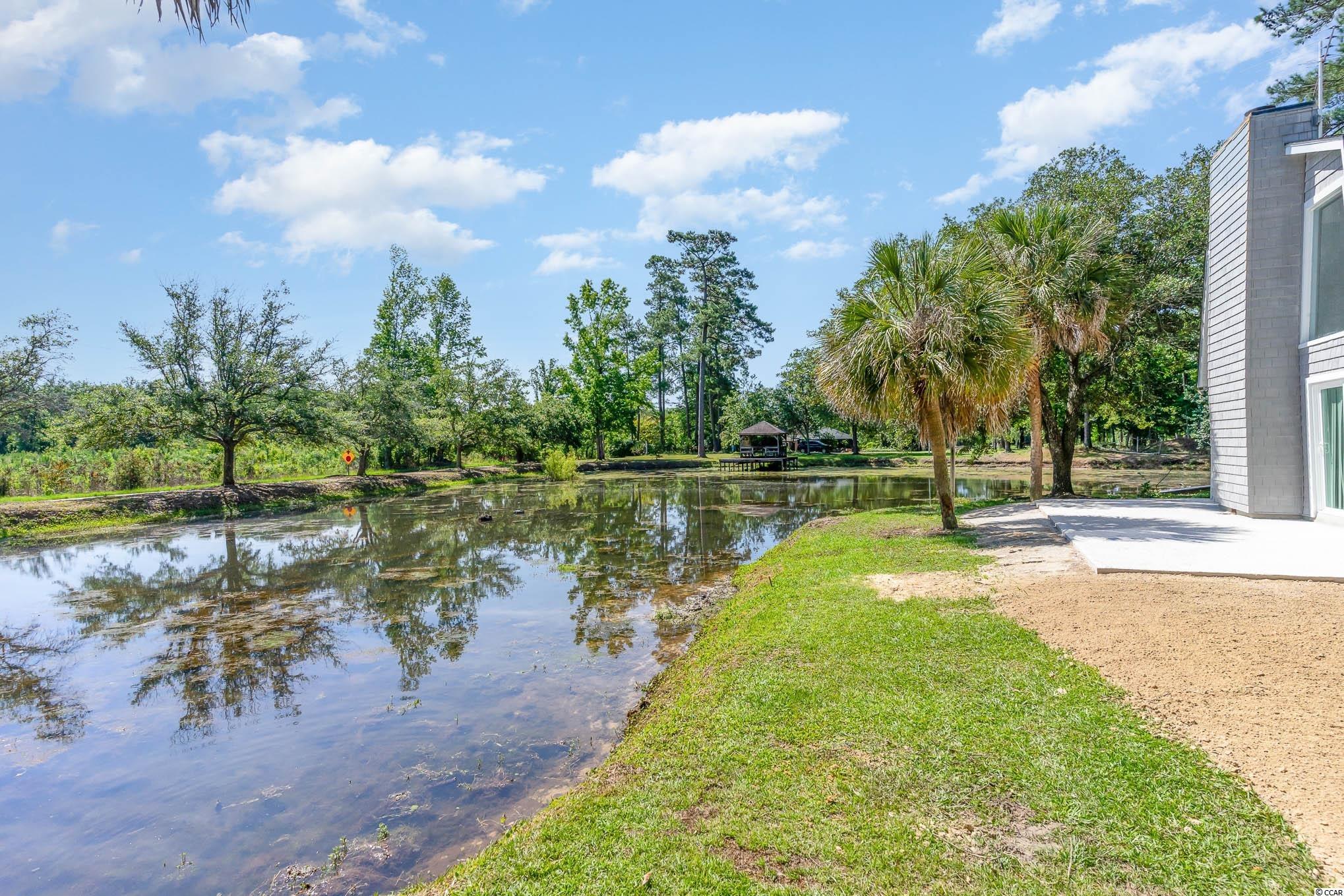8933 Old Pee Dee Road Hemingway, SC 29554 - Photo 24 of 27