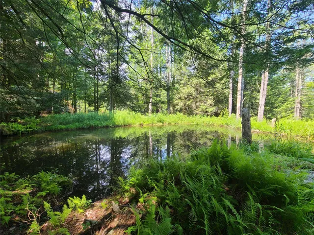 $944,500 | 28 Martin Lane, Mongaup Valley, NY 12762