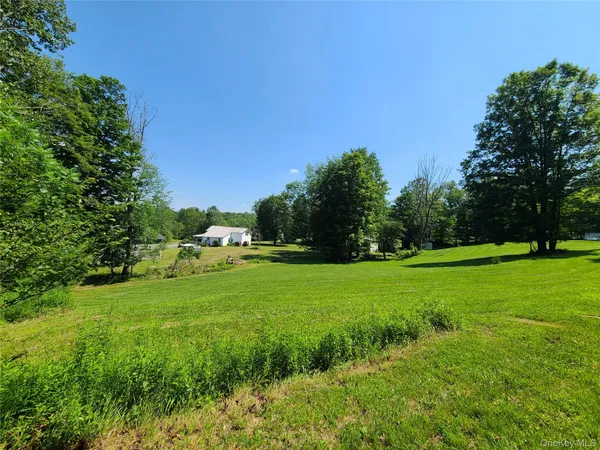 a view of a grassy field with trees