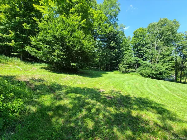 a view of yard with green space
