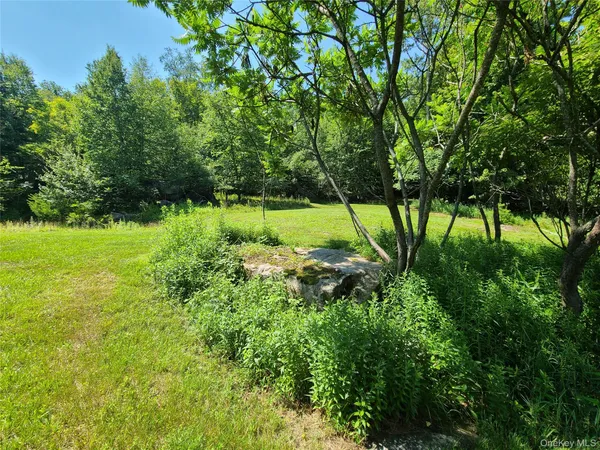 a view of backyard with table and chairs and plants