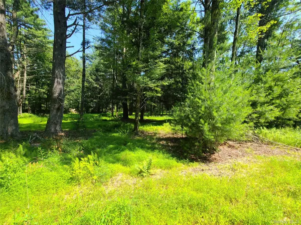 a backyard of a house with swimming pool and green space