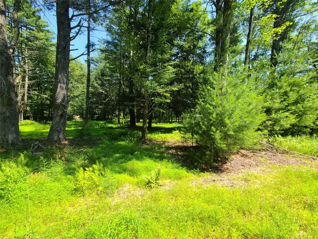 $944,500 | 28 Martin Lane, Mongaup Valley, NY 12762