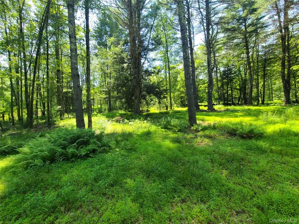 a big yard with lots of green space and trees