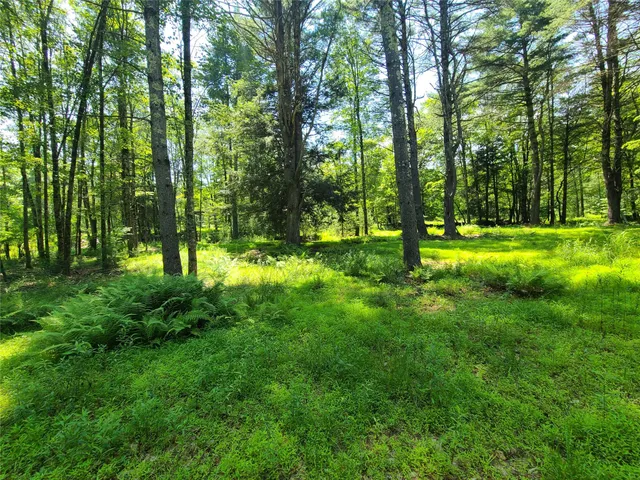 $944,500 | 28 Martin Lane, Mongaup Valley, NY 12762