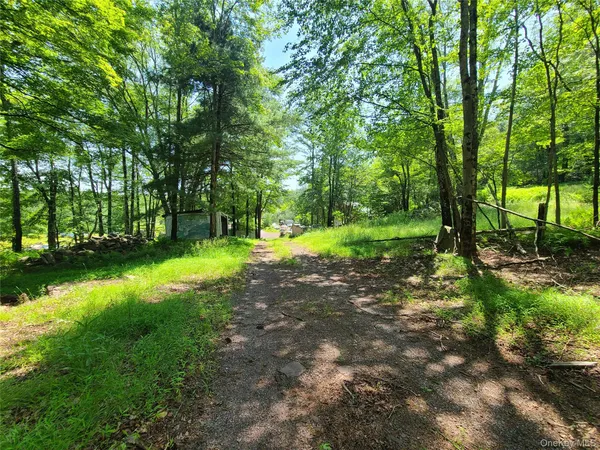 a view of a park with large trees
