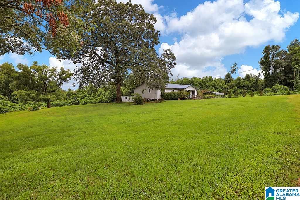 3464 County Road 29 Heflin, AL 36264 - Photo 11 of 34