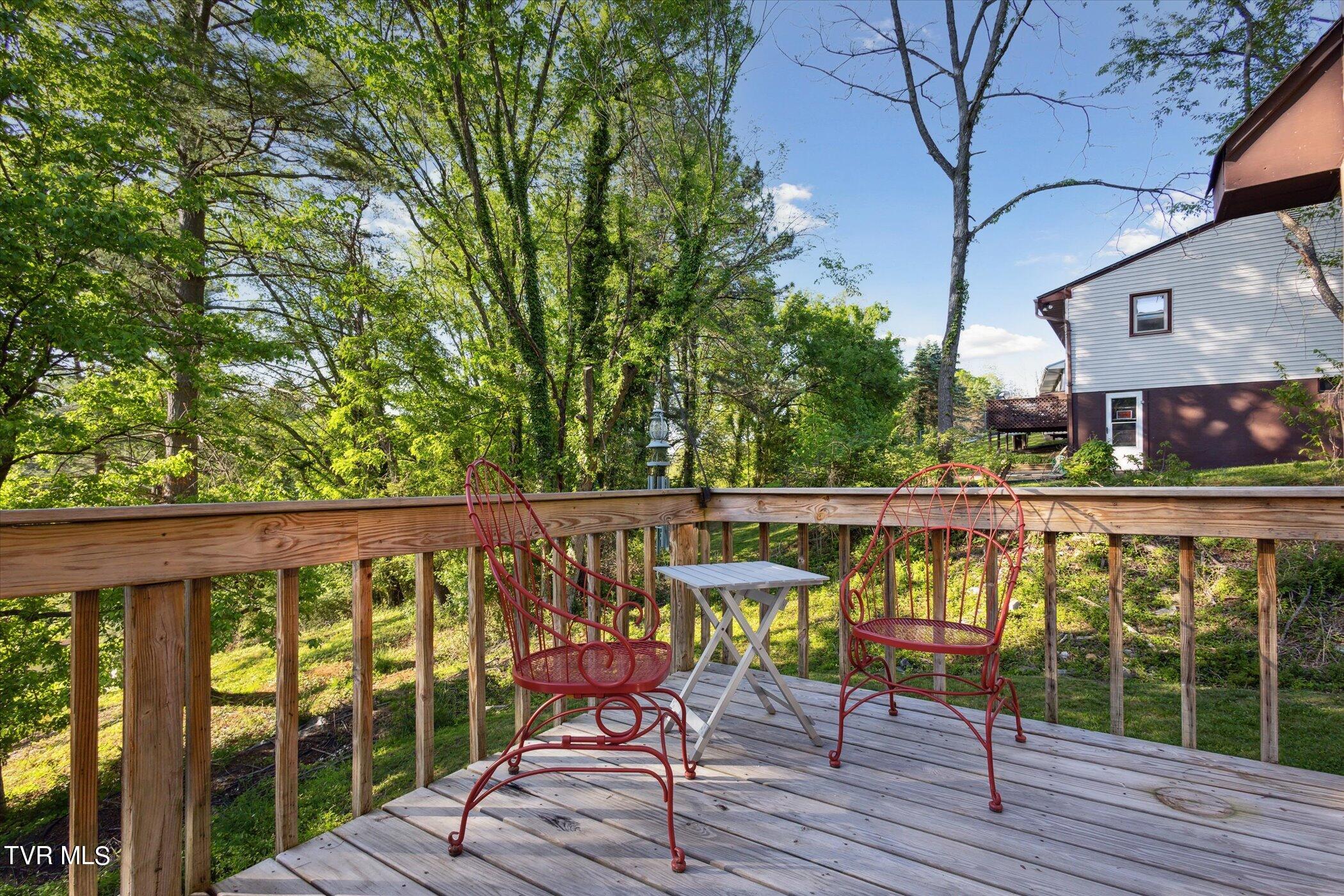1679 Ridgeway Drive Kingsport, TN 37664 - Photo 14 of 31 IMG_1527