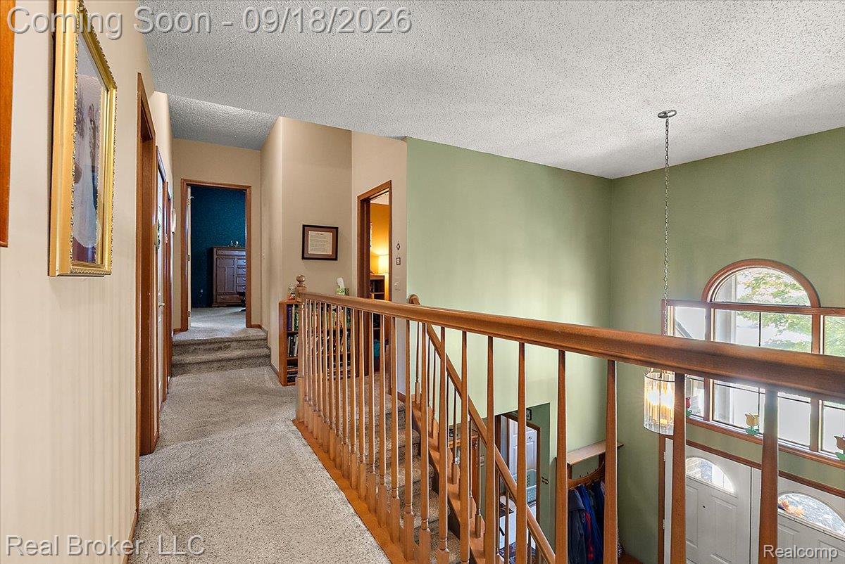 44744 Danbury Road Canton, MI 48188 - Photo 21 of 62 37-44744 Danbury-37.jpg