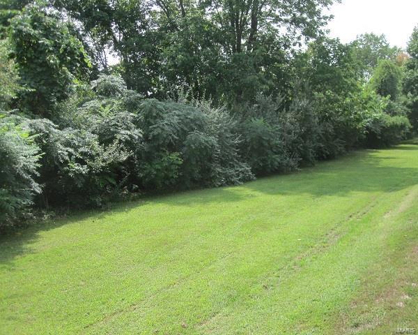 0 Fieldon Hollow Road Fieldon, IL 62031 - Photo 3 of 6