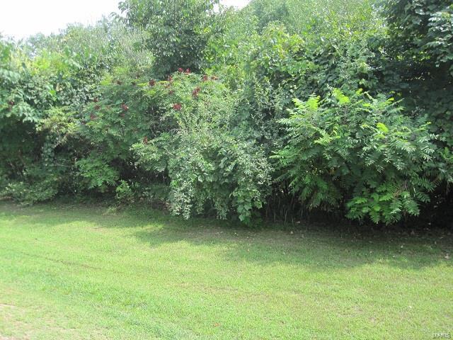 0 Fieldon Hollow Road Fieldon, IL 62031 - Photo 4 of 6