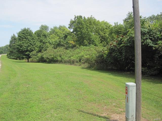 0 Fieldon Hollow Road Fieldon, IL 62031 - Photo 5 of 6