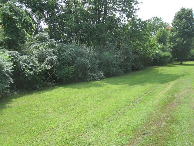 0 Fieldon Hollow Road Fieldon, IL 62031 - Photo 6 of 6