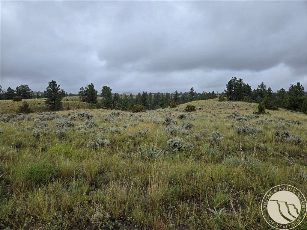 16 Mountain View Road Molt, MT 59057 - Photo 15 of 19 Gallery Image 15