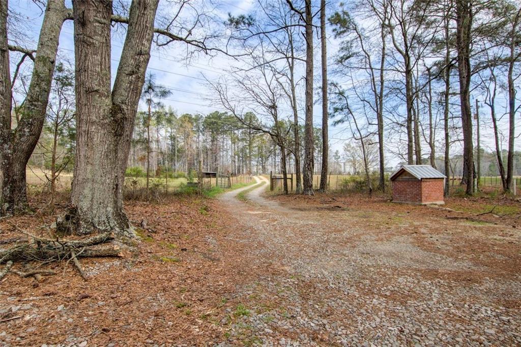 8345 Cleckler Road Palmetto, GA 30268 - Photo 14 of 41 a backyard of a house with lots of green space