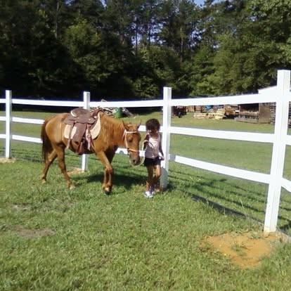 8345 Cleckler Road Palmetto, GA 30268 - Photo 8 of 41