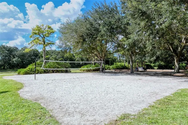 a view of a park with large trees