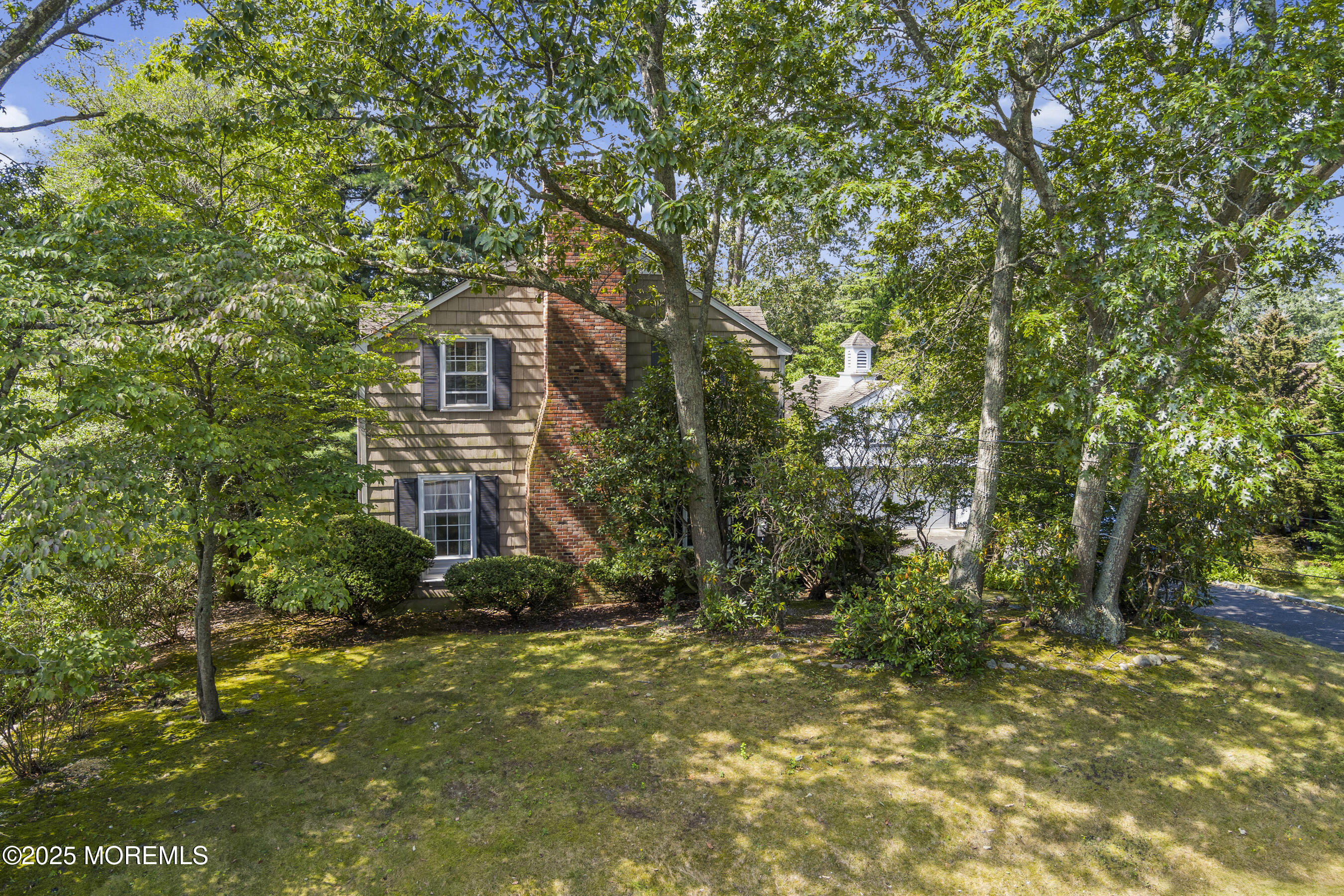 647 Valley Road Brielle, NJ 08730 - Photo 32 of 38 a view of a big yard with plants and large trees
