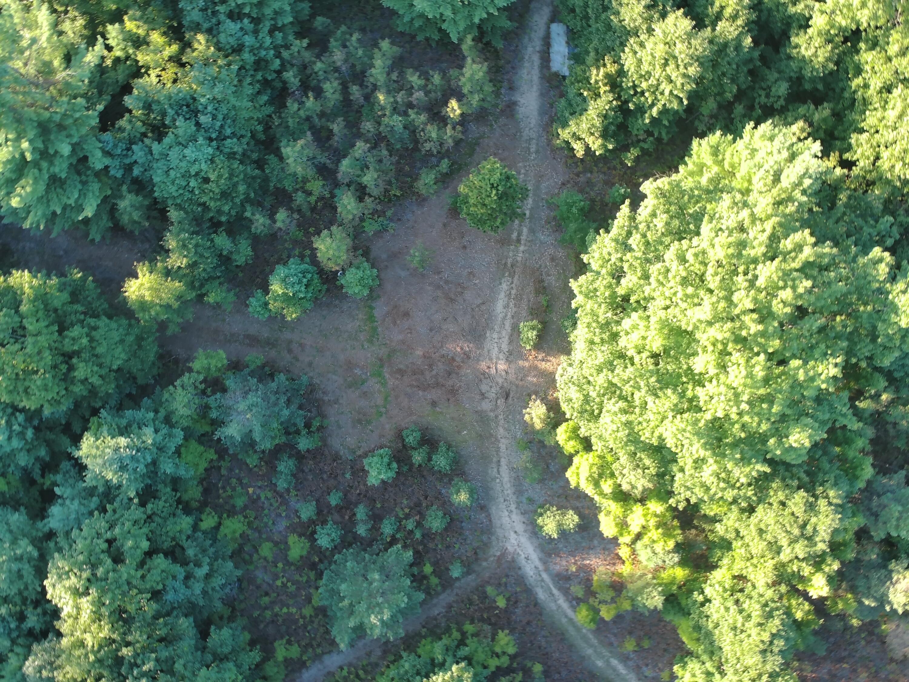 1-5 Clements Road Kaleva, MI 49645 - Photo 12 of 61 Driveway (1)