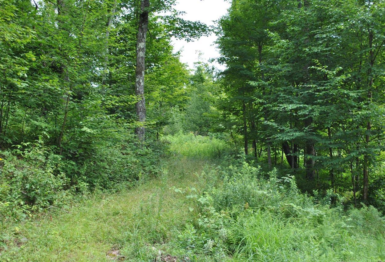 4 Sunrise Mountain Road Kortright, NY 13739 - Photo 1 of 1 Gallery Image 1