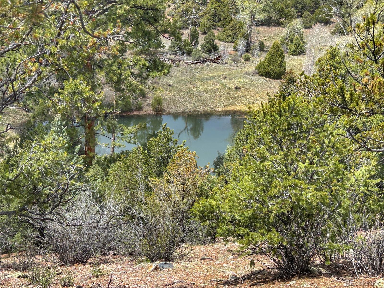 52601 County Rd LL56 Villa Grove, CO 81155 - Photo 20 of 33